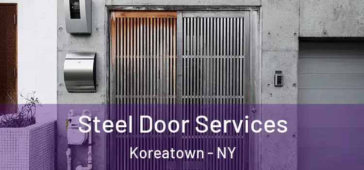 Steel Door Services Koreatown - NY
