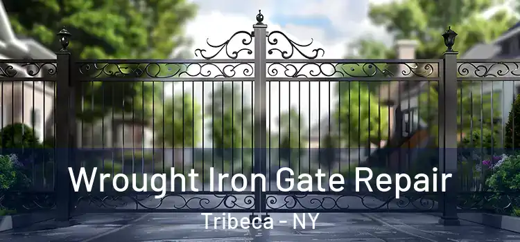  Wrought Iron Gate Repair Tribeca - NY